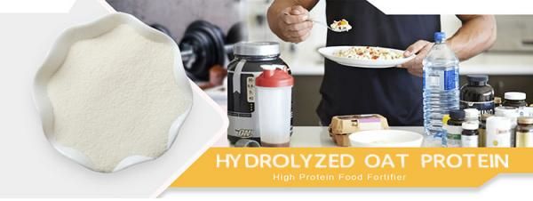 Hydrolyzed Oat Protein Powder Hydrolyzed Oat Protein Powder